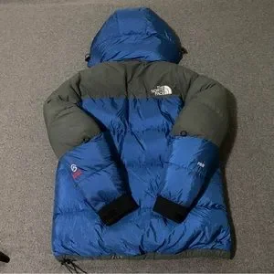 North face summit series 700 down jacket online